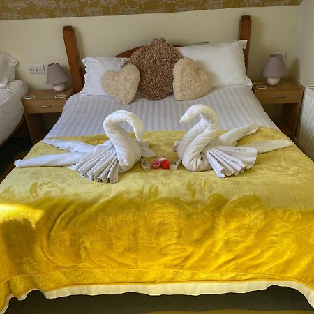 Aquarius B&B New Quay Eksteriør bilde